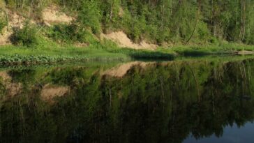 Река Уфтюга - Вологодская область